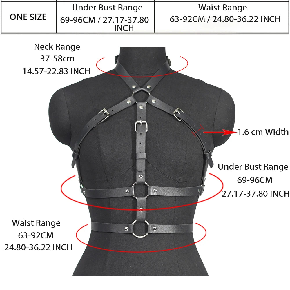 Leather Harness